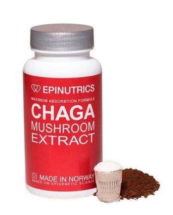 Epinutrics Epi-chaga  60kap