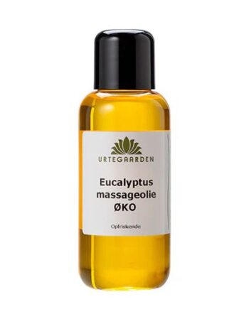 Eucalyptus Massageolie øko