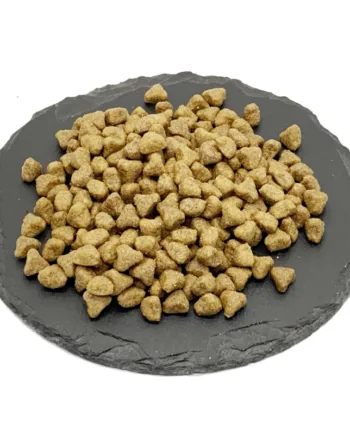 Foderprøve Probiotic Live Adult Cat Kattefoder Med Lam
