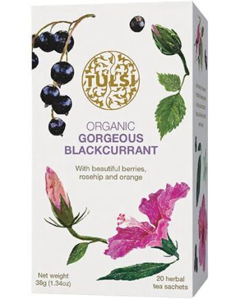 Gorgeous Blackcurrant Te øko  20 Breve