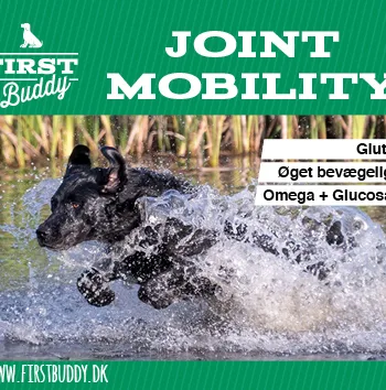 500 Gram Joint Mobility Til Hunde Naturligt Glucosamin