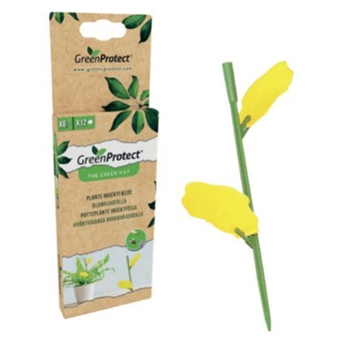 Green Protect Plante Insektfælde   Pk