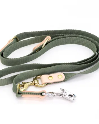 Grøn Hundesnor   Markprøveline Med Quickudløser 25mm   250 Cm