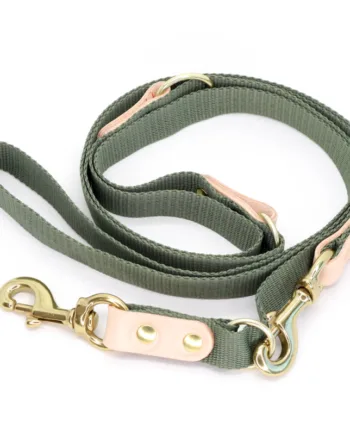 Grøn Hundesnor Med Karabinhage Dressurline 25 Mm   250 Cm   Webbing