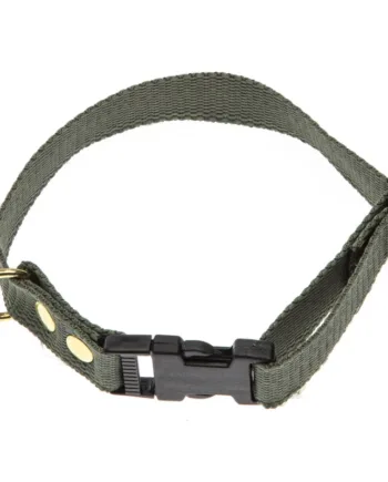 Grønt Halsbånd Halsrem 25 Mm   60 Cm   Webbing