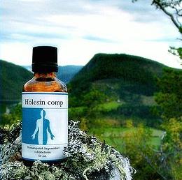 Holistica Holesin Comp  50ml