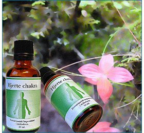Holistica-medica Hjerte Chakra  Bull  50ml