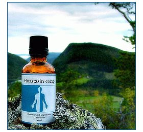 Holistica-medica Hoastasin Comp   Bull  50ml