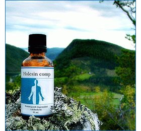 Holistica-medica Holesin Comp   Bull  50ml