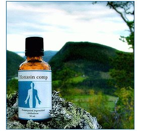 Holistica-medica Honasin Comp   Bull  50ml