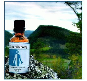 Holistica-medica Honersin Comp   Bull  50ml