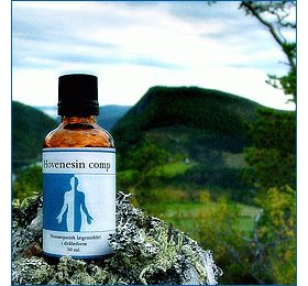 Holistica-medica Hovenesin Comp   Bull  50ml