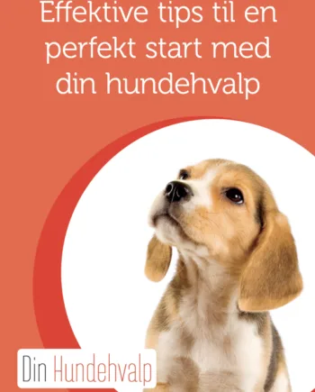 Hvalpebog Effektive Tips Til En Perfekt Start Med Din Hundehvalp