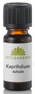 Kaprifolium Duftolie  10ml