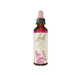 Mezina Bach Elm  Bull  10ml