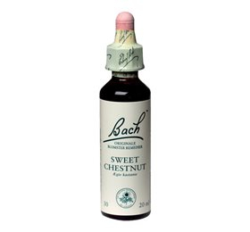 Mezina Bach ægte Kastanie  Sweet Chestnut  10ml