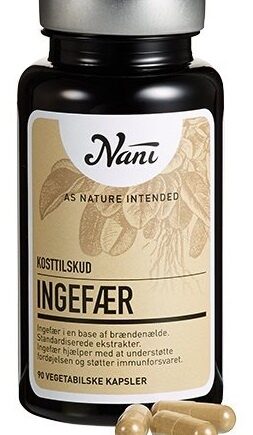 Nani Ingefær 90 Kap