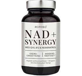 Nordbo Nordbo Nad  Synergy 40 Kap