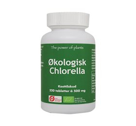 Oil Of Life Chlorella    Bull  320 Tab