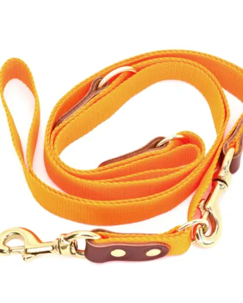 Orange Hundesnor Med Karabinhage Dressurline 25 Mm   250 Cm   Webbing