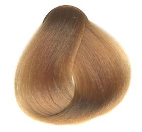 Sanotint 11  Bull  Honning Blond