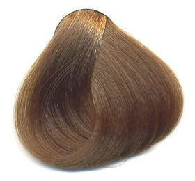 Sanotint 79  Bull   Light Natur Blond