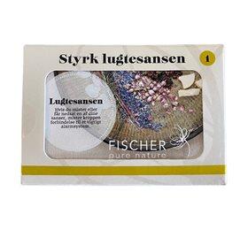 Styrk Lugtesansen Kit      X10 Ml æteriske Olier Appelsin    Pebermynte  Lavendel  Sandeltræ