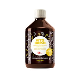 Vita Biosa Ingefær    Bull  500ml