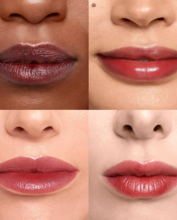 Wonderskin Wonder Blading Lip Stain Kit   Quot Lovely Quot   Chestnut Brown