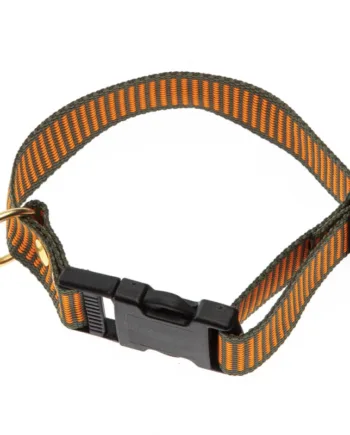 -farvet Halsbånd Orange   Grøn Halsrem 25 Mm   40 Cm