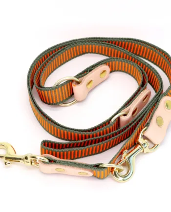 -farvet Hundesnor Med Karabinhage Dressurline 25 Mm   250 Cm Webbing