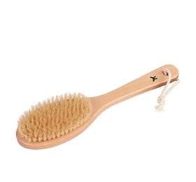 Badebørste   Bøg    Naturhår