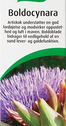 Boldocynara 100 Ml