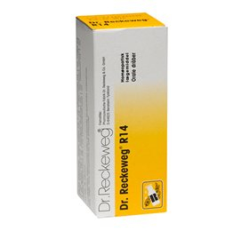 Dr  Reckeweg   14  Bull  50 Ml