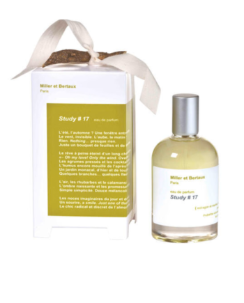 Study   17 100ml