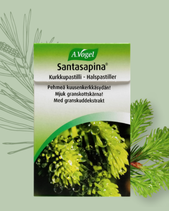 Vogel Santasapina Bonbons 30g