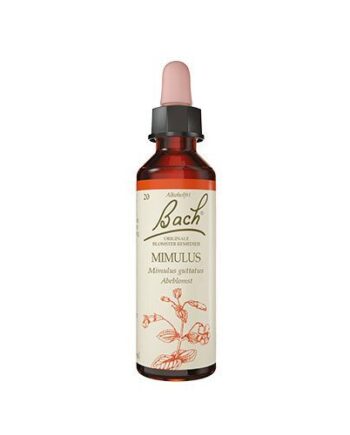 Bach Abeblomst  10ml