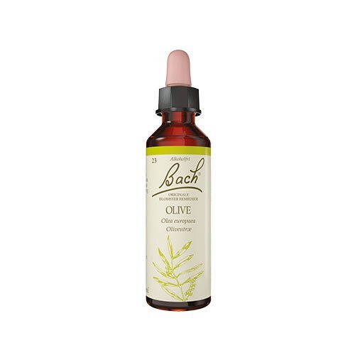 Bach Oliven  10ml