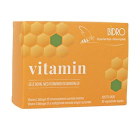Bidro Vitamin 60 Veg Kapsler Hed Tidligere Vitamin Og Mineral