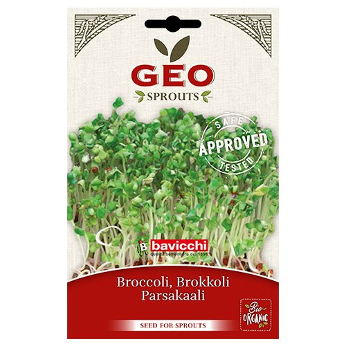 Broccolifrø Til Spiring    Bull  13g
