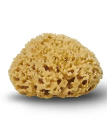 Cocoon Natursvamp Honeycomb 10-11 Cm    Stk