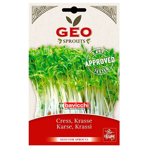 Karse Til Spiring    Bull  35g
