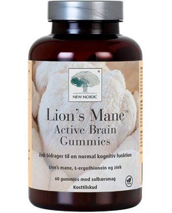 Lions Mane Active Brain Gummies 60 Stk