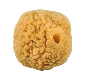 Natursvamp 10-12 Cm Fra Koral   Bull    Stk