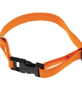 Orange Halsbånd Halsrem 20 Mm   40 Cm   Webbing