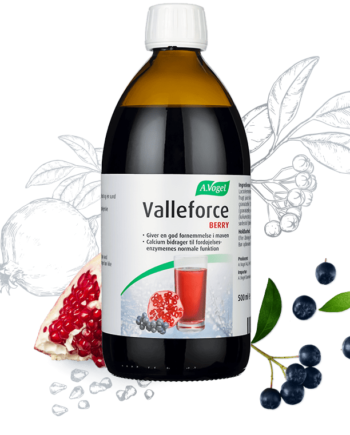 Valleforce Original Berry 500 Ml